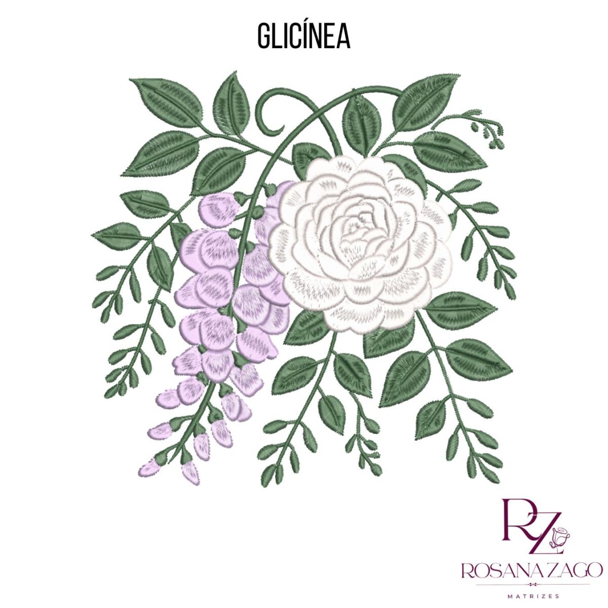 GLICÍNEA - Imagem 2