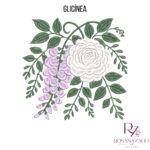GLICÍNEA - Imagem 2