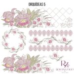 ORQUÍDEAS 5