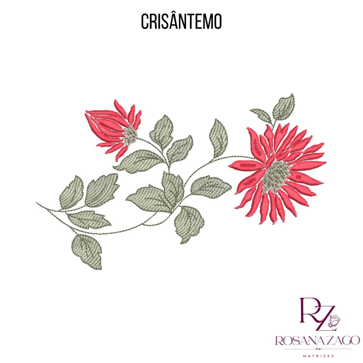 CRISÂNTEMO - Imagem 3