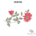 CRISÂNTEMO - Imagem 3