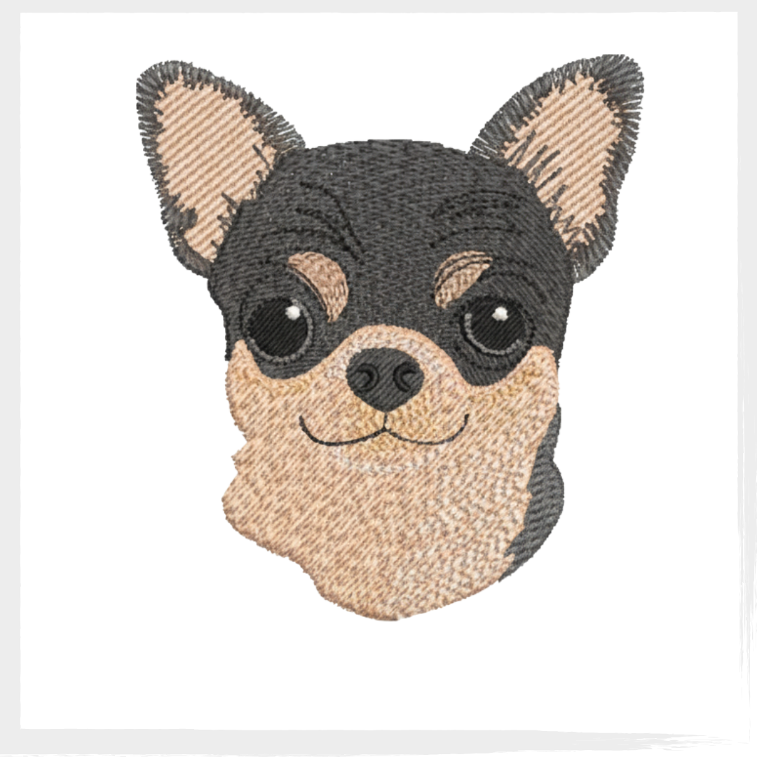 SHIHUAUA MAX bazar Matriz Cachorro Chihuahua Max - Image 3