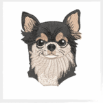 Matriz Cachorro Chihuahua Robert - Imagem 2