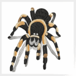 Matriz Aranha Realista