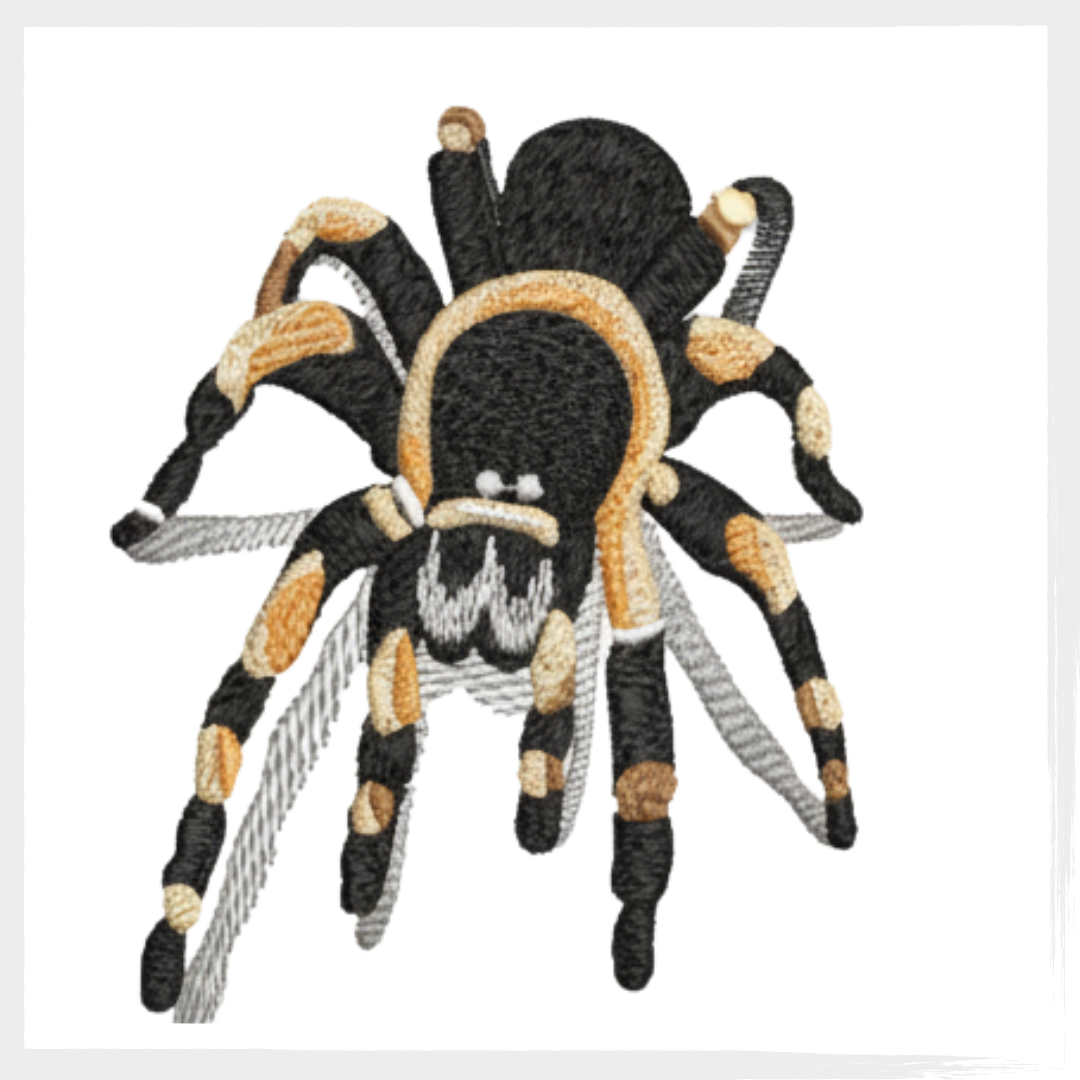 Dia 6.11 bazar (26) Matriz Aranha Realista - Image 1