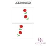 LAรO 3D: APARECIDA - Image 3