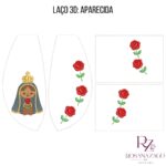 LAรO 3D: APARECIDA