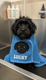 Matriz de Bordado Cachorrinho Preto - Image 2