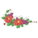 Coleção Cozinha - Imagem 2