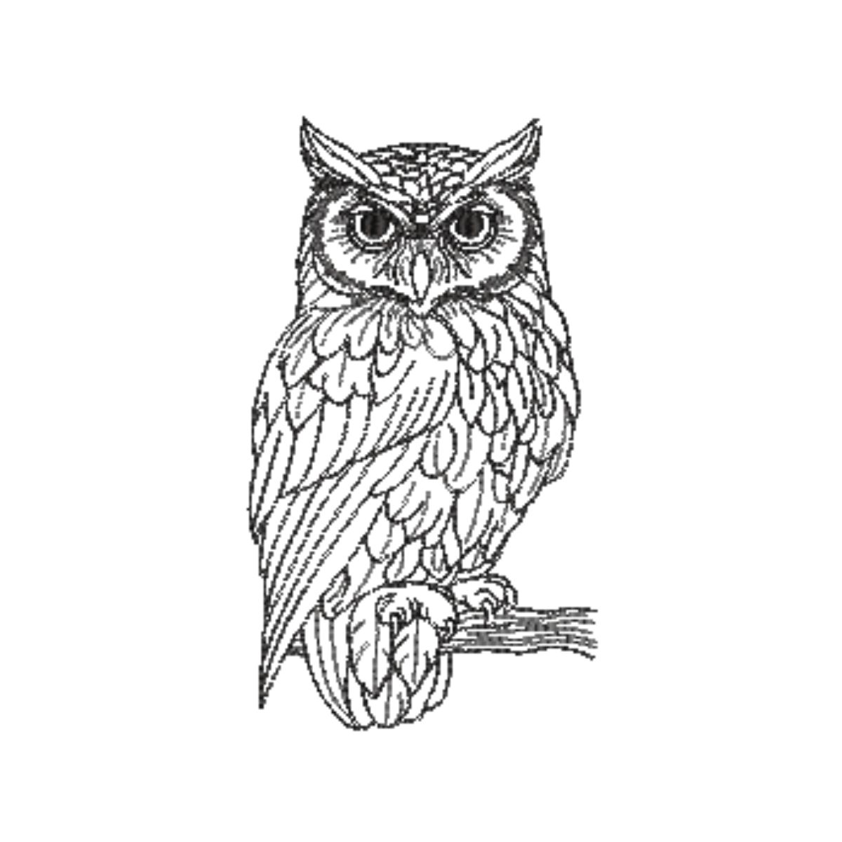 DIVIDIDO EM 4 PARTES Matriz de Bordado Coruja Cód 01369 - Imagem 1