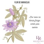 FLOR de MARACUJÁ - Imagem 3