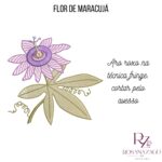 FLOR de MARACUJÁ - Imagem 4