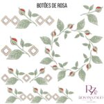 BOTÕES de ROSA