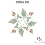 BOTÕES de ROSA - Image 5